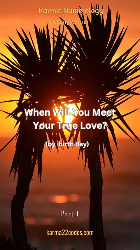 The image features a sunset scene with silhouetted palm trees in the foreground, framing the bright light of the sun. Text overlays are positioned to convey the video's topic, which appears to be related to karmic numerology and relationships.