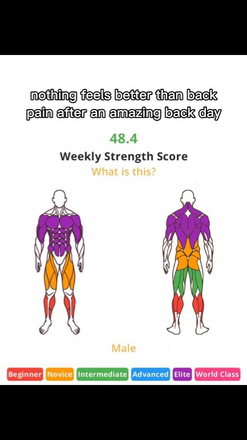 The cover image presents a fitness-related visual. It features two side-by-side skeletal figures, one viewed from the front and the other from the back, each highlighting different muscle groups with color-coded overlays. Text overlays provide metrics and context, including a weekly strength score (48.4) and the phrase 'nothing feels better than back pain after an amazing back day.' The image uses a color scheme for muscle group visualization with a scale to rate the score of the user. Background is a blend between a white and a black color, which creates a sense of contrast and making the figures stand out.