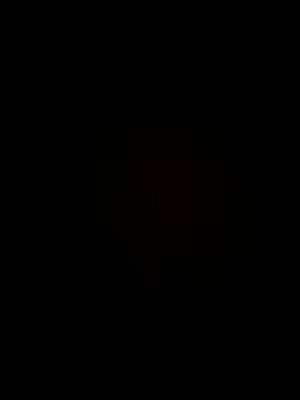 The cover image is entirely black.