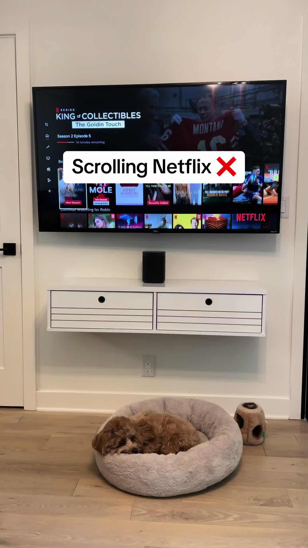 A television displaying a streaming service’s interface is mounted on a white wall. Below it, a white floating shelf holds a black speaker. The floor is wooden, and there is a dog bed with a dog in front of the television.