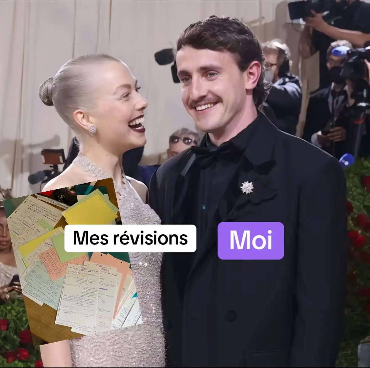 A cover image featuring a couple at a formal event. The woman on the left is smiling, her hair up, wearing a shimmering dress and diamond necklace. The man next to her, wearing a black suit and bow tie, smiles with a mustache. A small pile of papers with text is included in the foreground with an overlaying box that says "Mes revisions," and another box with the word "Moi". The background is blurred with other people visible.