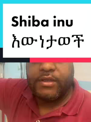 The cover image shows a man looking at the camera, with overlaid text and a colorful background. The man has a beard and is wearing a red shirt. The overlaid text features a Shiba Inu dog's name in English and another language, set against a white and red background.
