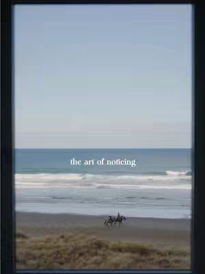 The cover image shows a landscape view framed within a dark window. The scene outside the window features a beach with ocean waves gently lapping the shore under a clear, pale blue sky. Two people on horseback are riding along the beach. The words 'the art of noticing' are superimposed in a clean, white font at the bottom of the window frame.