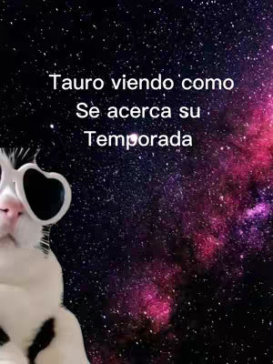 A cat wearing heart-shaped sunglasses is looking up with the text overlayed on a background of a starry galaxy-like image. The image is a mix of dark blues, pinks, and purples giving a sense of depth and cosmic feel.