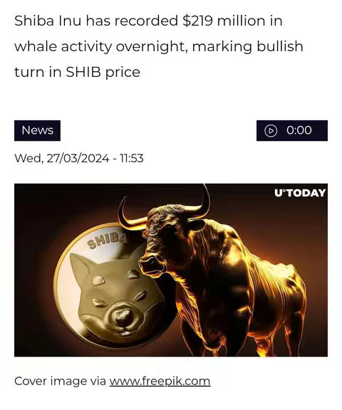 The cover image features a stylized depiction of a gold bull with a Shiba Inu coin beside it, symbolizing a bullish trend in cryptocurrency. The image has a dark background with the coin and bull as the primary subjects.