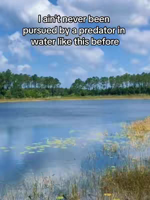 A serene landscape featuring a calm lake with gently rippling water, framed by a blue sky dotted with fluffy white clouds. Trees line the far shore, and the foreground is filled with grasses and aquatic plants. The image conveys a sense of tranquility and natural beauty, with overlaid text against the sky.