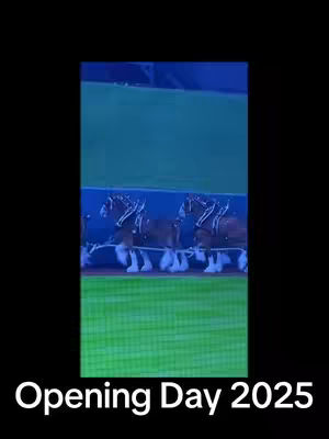 The image shows a vertical video featuring a baseball stadium setting with the Budweiser Clydesdales pulling a wagon. The field is green, the stands and sky are varying shades of blue, conveying a daylight or evening atmosphere. The Clydesdales are brown and white and walking on a green surface in the foreground. Text overlayed on the image says "Opening Day 2025".