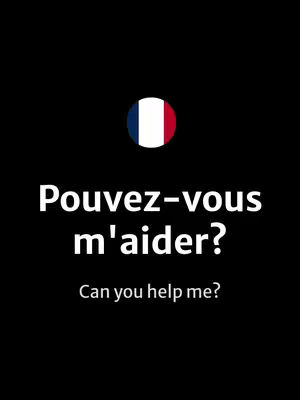 A stark image with a black background. At the top, a circular graphic displays the French flag. Beneath it, large white text asks a question in French, followed by the English translation.