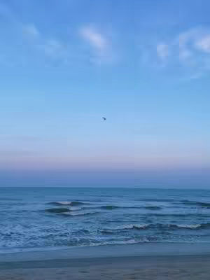 A seascape with a serene atmosphere. The sky transitions from light blue to a darker shade towards the horizon. The ocean shows gentle waves. A bird is in flight in the sky.