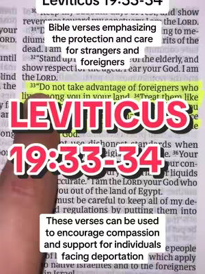 The image is centered on a page from a Bible, with text highlighted in yellow. Overlayed are the words "LEVITICUS 19:33-34" in a large, bold, red font. A hand is visible, pointing at the highlighted text. Below the text is another box with text.