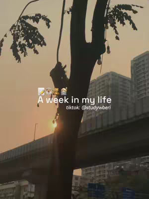 The image shows a tree silhouette against a sunset sky. In the foreground, there's a dark tree with visible branches. The background features a slightly hazy sky with buildings and a bridge visible, suggesting an urban setting. Text labels overlay the image indicating the video content.
