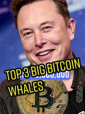 An image featuring a smiling man, identified as Elon Musk, with text overlayed. He is wearing a black jacket over a black t-shirt. The background is out of focus and blue. Overlaid on the photo is a large yellow text box with the words "TOP 3 BIG BITCOIN WHALES" in a bold, sans-serif font. Below this is a smaller box with a series of numbers. At the bottom of the image is a gold coin with the bitcoin logo.