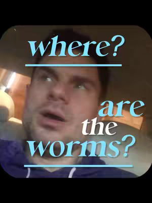 A selfie-style shot with a male subject inside a car. The background is slightly blurred, showing interior details. Overlaid text in a stylized font reads "where? are the worms?". The subject looks slightly confused or inquisitive.