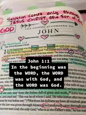 The image shows an open Bible with annotations and highlighted text. A black rectangular box with white text is overlaid, quoting John 1:1. The background is the textured pages of the Bible with multiple annotations and highlighting to emphasize multiple passages.