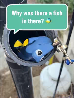 The image shows a Dory toy figure from the movie "Finding Nemo" inside a pipe. A speech bubble asks "Why was there a fish in there?" The background includes metal pipes, a white container, and outdoor elements.