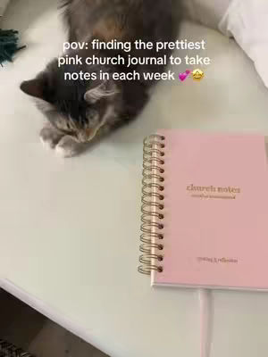 A top-down view shows a light-colored surface with a pink spiral-bound journal lying on the right side, next to a fluffy grey cat. The cover of the journal has the text 'church notes' in gold. In the background, a small amount of a green object, potentially a plant, can be seen, while the cat appears to be interacting with the journal.