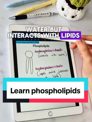The cover image displays a tablet with handwritten notes on phospholipids. Above the tablet are pens and a small decorative item. The text overlays provide context and indicate the subject of the video is a biology lesson.