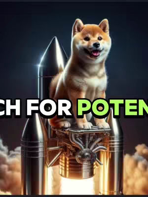 The cover art features a Shiba Inu dog with a rocket behind it. Text overlayed on top reads "LAUNCH FOR POTENTIAL"
