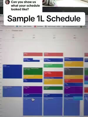 The cover image shows a computer screen displaying a calendar or schedule layout. Above the schedule is a question and a text bubble with a thumbnail: 'Can you show us what your schedule looked like?'. The primary text overlay is 'Sample 1L Schedule'. The calendar appears to span several days, with different colored blocks representing time slots and activities.