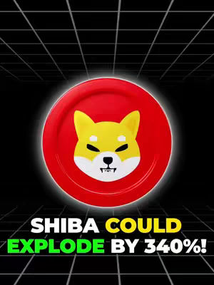 The cover image features a Shiba Inu associated with a circle and a striking visual with a bold, geometric background to highlight the topic of cryptocurrency analysis, in particular the Shiba Inu coin, in which the text describes potential price surges. The logo is contained in a red circle with the Shiba Inu dog’s face at the circle's center, above a text overlay on a black background that includes the phrases “Shiba Could” and “Explode by 340%!” written in contrasting colors.