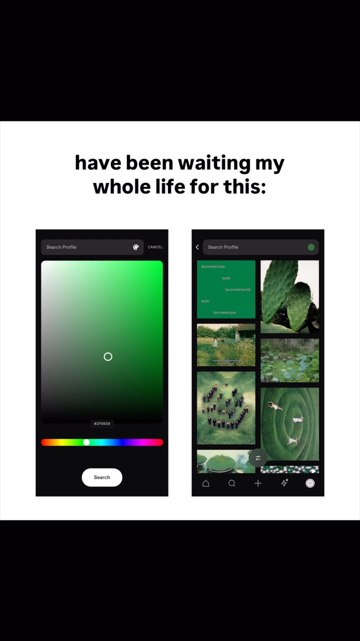 The cover image is a phone screen showing two app interfaces side by side. The left interface displays a color picker with a gradient from green to pink, and a search bar. Below that is the search button. The right interface shows a search profile with a few images of different subjects. The words 'borrowed time', 'undi', 'borrowed world', 'undi', 'borrowed eyes' are listed at the top, with some images being shown below.