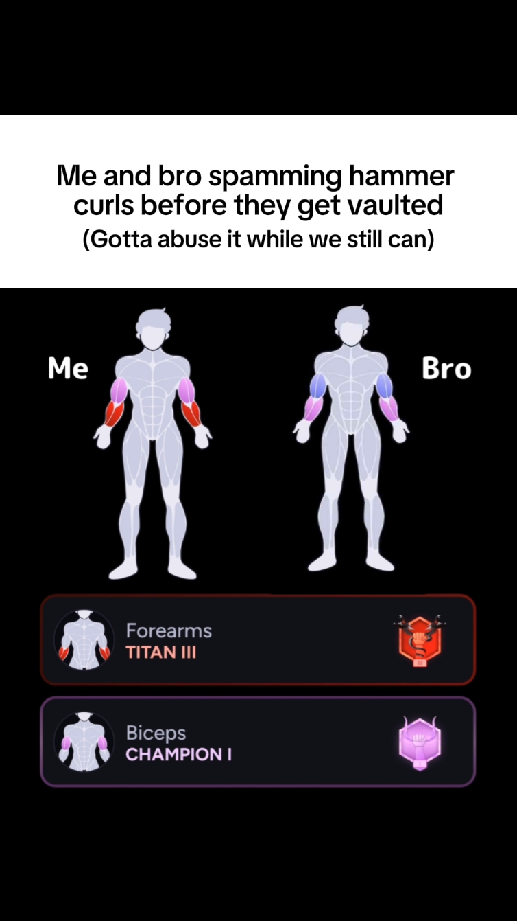 The cover image displays an infographic about weightlifting exercises, featuring two stick-figure representations of individuals, labeled 'Me' and 'Bro.' Text overlays describe the scenario as 'Me and bro spamming hammer curls before they get vaulted (Gotta abuse it while we still can).' Below each figure are labelled areas that indicate forearm and bicep muscle groups, with 'Me' having red enhancements and 'Bro' with blue. Different level badges are added to each figures to enhance their expertise level during the hammering curls. The background is a dark color.
