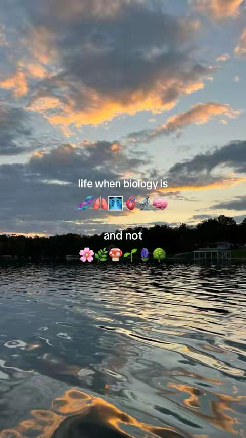 A scenic landscape with water in the foreground reflecting a colorful sky at sunset, featuring overlaid text and emojis.