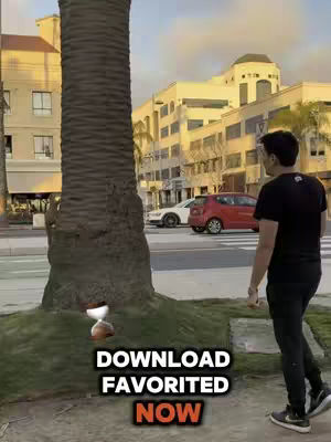 A man in a black shirt and black pants walks towards the camera on a sidewalk next to a large tree. The background shows a street with cars, and buildings with a bright sky. A graphic with an hourglass and text covers the bottom of the tree.