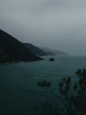 A coastal view with dark, imposing mountains on the left, descending towards a blue-green sea. The sky is overcast and gray, creating a subdued mood. A silhouetted tree branch is in the foreground on the right side.
