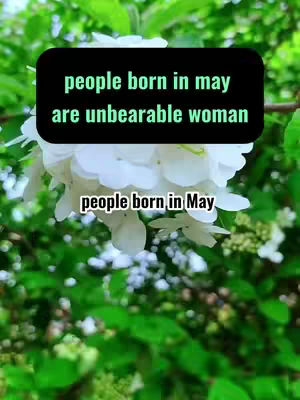 An image featuring a vibrant display of white flowers against a backdrop of lush green foliage. The composition is well-balanced, with the flowers taking center stage and the greenery providing a natural frame. In the upper portion, a black rectangular box contains the text "people born in may are unbearable woman", while below the flowers the text reads: "people born in May". The overall aesthetic is fresh and lively, with saturated colors enhancing the visual appeal.