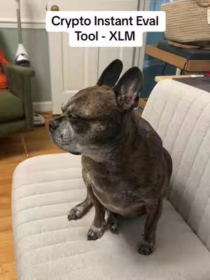 A brown and white dog sits on a white cushioned seat, with the text overlayed at the top of the image. The dog is the center of attention in the image.