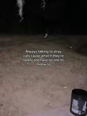 A nighttime scene featuring a grainy, dimly lit environment. The foreground shows a rough, textured surface. In the mid-ground, a dark figure is faintly visible, likely a person or animal. The background is dominated by darkness. Text overlayed on the image reads: 'Always talking to stray cats cause what if they're lonely and have no one to meow to.' A dark container is positioned in the lower right corner.