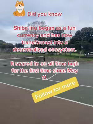 The cover image is a shot on a tennis court with text overlays. The court dominates the foreground. A yellow banner reading "Follow for more" lies at the bottom right. Text content provides information about Shiba Inu.