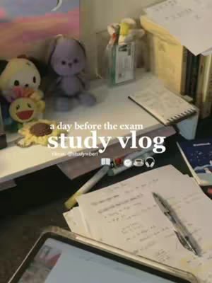 A desk is covered in a variety of items, including papers with handwritten notes, a laptop, books, and some plush toys. A pen rests on the papers. The overall composition suggests a study environment, with the text overlay indicating a study vlog.