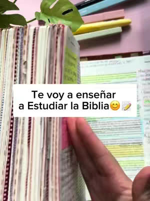 The cover image shows a hand holding a Bible, with text overlayed on a white rectangular background. The Bible is open with some pages marked by colorful sticky notes and a highlighter. In the background, part of a desk and greenery can be seen.