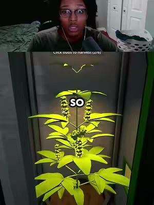 The cover image is a split screen. The top half shows a Black male with glasses, wearing a dark green shirt, with a shocked expression looking at the screen and wearing a headset/mic. The bottom half shows a 3D render of a cannabis plant with yellow green leaves and what appears to be the buds on its flowering parts in dark brown pot.