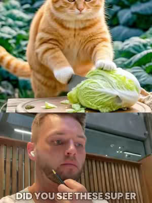 The image is divided into two sections. The upper half shows a cat with orange fur and white paws holding a knife and cutting a cabbage. The lower half features a close-up of a man with a beard, holding a pen to his face, looking contemplative. Text overlayed on the bottom of the image reads: "DID YOU SEE THESE SUP ER"