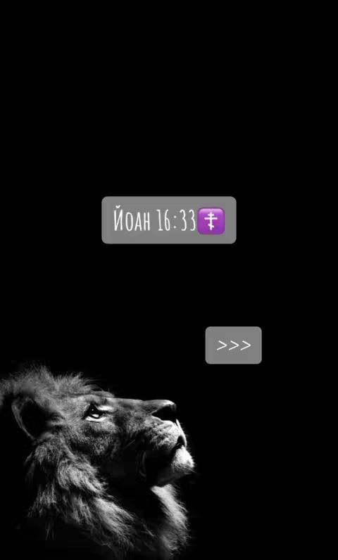 A black and white image featuring a lion's head looking upwards. Overlayed are two white rectangular boxes each containing text and the purple cross symbol inside. The background is completely black.