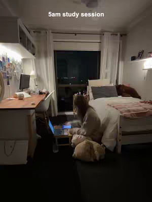 A photo of a room at night where it is dark outside the window. A girl is sitting on the floor with a laptop open, her back is facing the camera. There is a dog laying down next to her, to the right is a bed and a desk to the left.