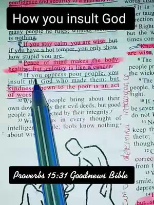 The cover image shows an open book with highlighted Bible verses. A pen is placed across the page, and the text 'How you insult God' appears as an overlay. The layout is focused and clear.