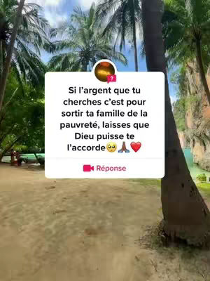 A vertical video cover image showing a lush tropical outdoor scene with tall trees in the background and a light-colored sign overlaid in front. The sign has text on it with a round logo above it. A person appears far off in the left mid ground and on the right side the trees are much more prominent. The sky is blue and partly obscured by the trees.