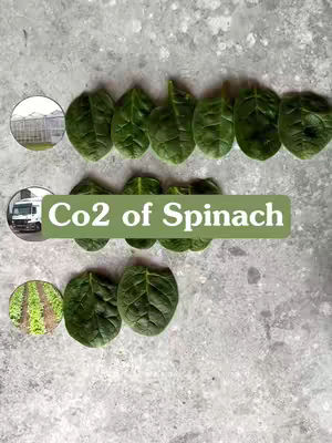 The image presents a collection of spinach leaves arranged on a textured, grey surface. Above the leaves, a visual overlay labels it as 'Co2 of Spinach', and the image includes circular insets showing a glasshouse, a truck, and a field of spinach rows.