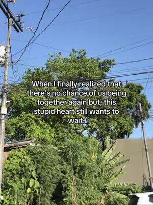 An outdoor shot featuring a view of trees, power lines, and the sky. In the foreground are lush green trees and some palm leaves. Cables from power lines crisscross the sky. Additional text is overlaid, conveying a message about waiting for someone.