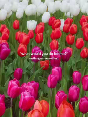 An image featuring a field of vibrant spring tulips. The tulips are densely packed, with the primary colors being red, pink, and white. The red and pink tulips are in the foreground, with white tulips interspersed at the top. The image has a natural lighting with a shallow depth of field, focusing on the flowers. Text overlays are present, featuring a question and an answer related to astrology.