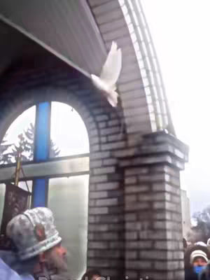 A white dove flies upwards in front of a brick building with an arched doorway. A man in a hat is visible to the left, and the sky is overcast.