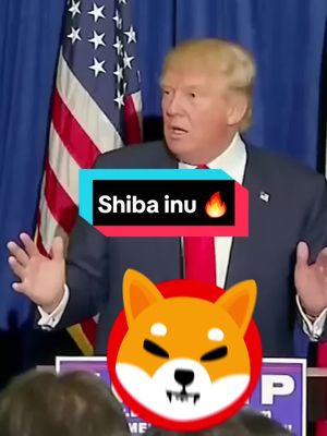The cover image shows a photo of Donald Trump speaking at a podium with the American flag in the background. Superimposed on the image is a text box reading "Shiba inu" with a flame emoji, and a Shiba Inu dog logo.