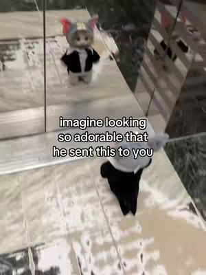 The cover image shows a scene of an indoor setting, likely a building or hallway, featuring reflecting surfaces. In the foreground, there is a doll in an animal hat and a black outfit, which is facing away from the camera and looking down. The doll is standing on what seems to be a floor made of gray tiles. In the background, another doll of the same model is visible in a mirror. The walls and doors provide additional reflective surfaces, with text overlayed to the image.
