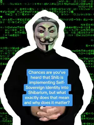 The image features a person wearing a Guy Fawkes mask with a black hoodie, set against a background of green binary code. A blue rectangular text box on the person's chest displays text.
