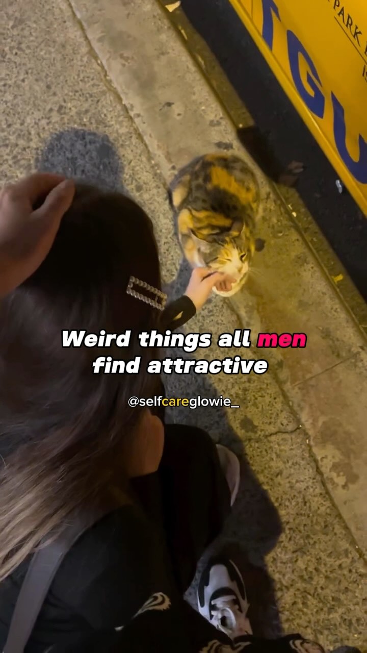 A woman is petting a calico cat on a city street at night. The woman's hair and part of her upper body are visible from the back, while the cat sits facing the camera. Text overlays the scene.