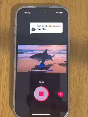 A smartphone displays a video with an animated shark wearing sneakers on a beach at sunset. Overlay text at the top shows a comment, and music lyrics at the bottom.